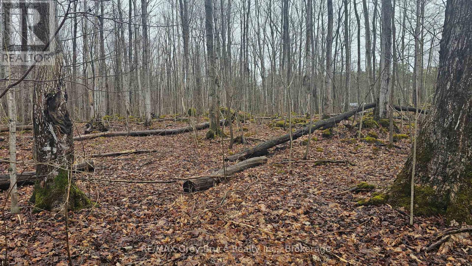 Pt Lt 1 Concession Rd 21 Road, Georgian Bluffs, Ontario  N0H 2T0 - Photo 10 - X12552858