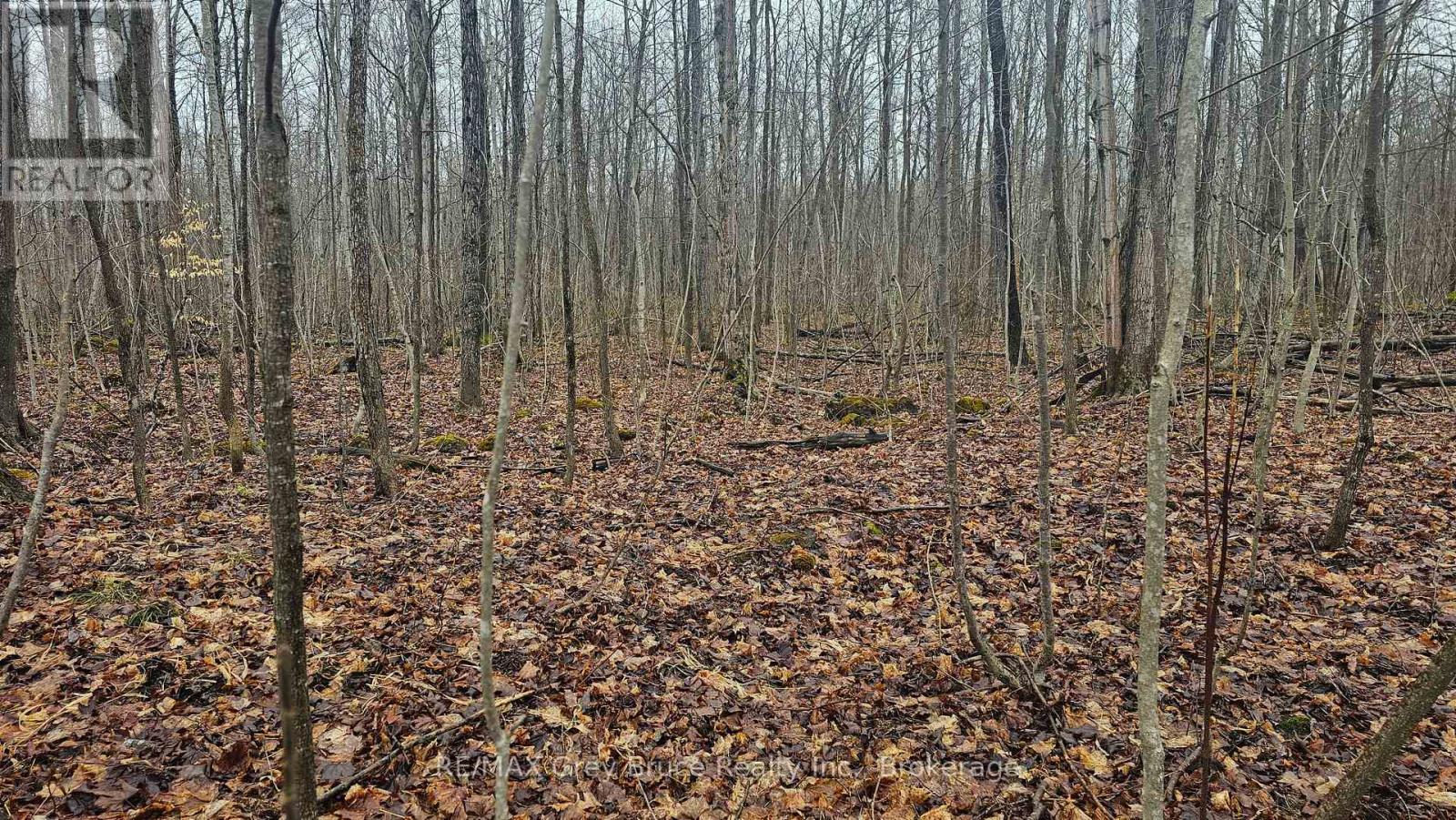 Pt Lt 1 Concession Rd 21 Road, Georgian Bluffs, Ontario  N0H 2T0 - Photo 11 - X12552858