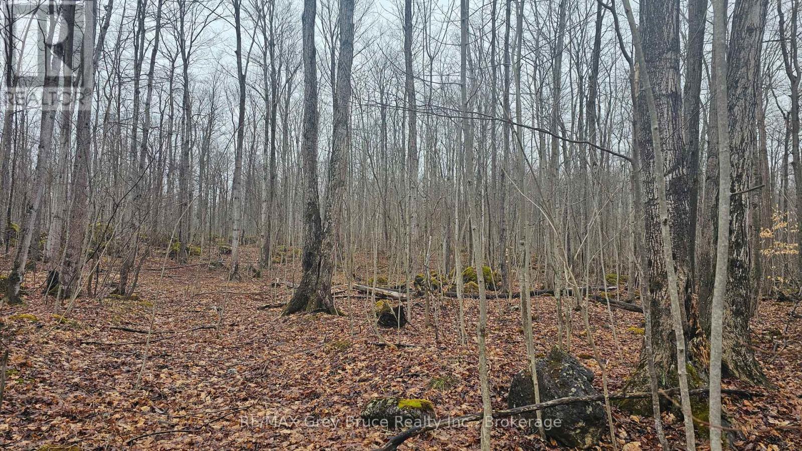 Pt Lt 1 Concession Rd 21 Road, Georgian Bluffs, Ontario  N0H 2T0 - Photo 12 - X12552858