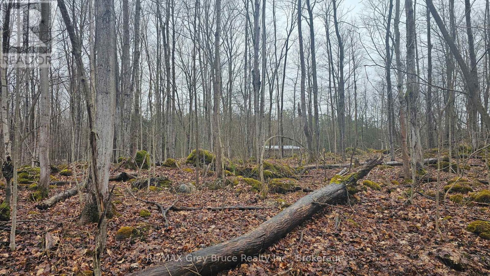 Pt Lt 1 Concession Rd 21 Road, Georgian Bluffs, Ontario  N0H 2T0 - Photo 13 - X12552858