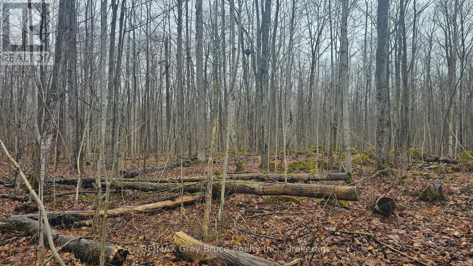 Pt Lt 1 Concession Rd 21 Road, Georgian Bluffs, Ontario  N0H 2T0 - Photo 14 - X12552858