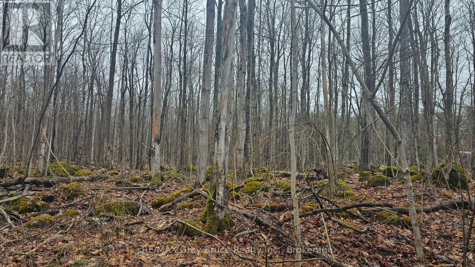 Pt Lt 1 Concession Rd 21 Road, Georgian Bluffs, Ontario  N0H 2T0 - Photo 15 - X12552858