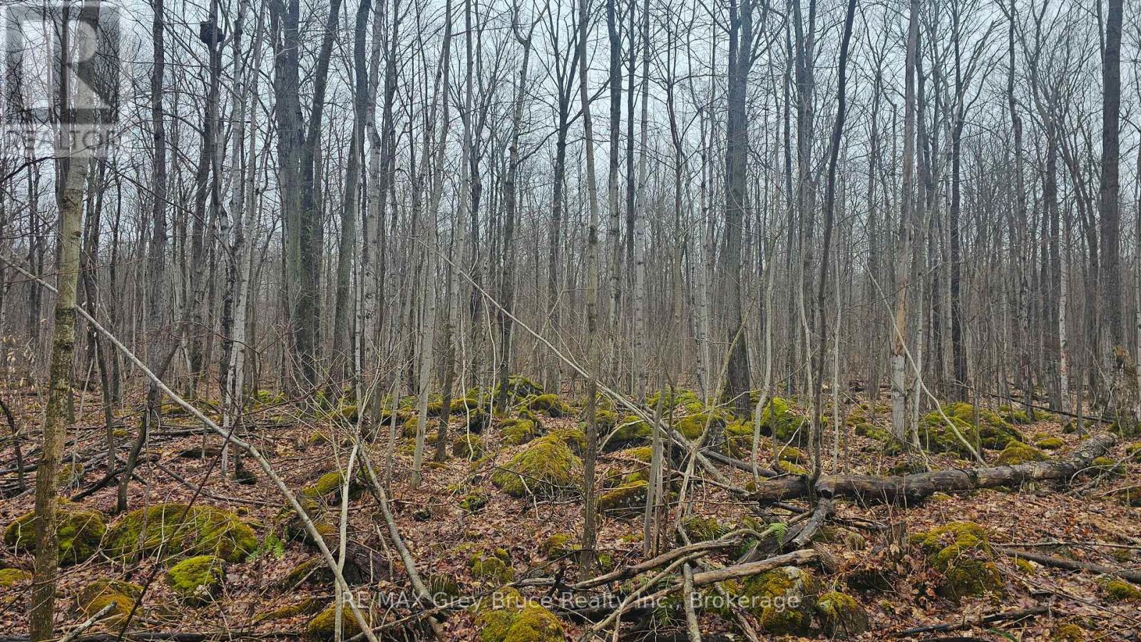 Pt Lt 1 Concession Rd 21 Road, Georgian Bluffs, Ontario  N0H 2T0 - Photo 17 - X12552858