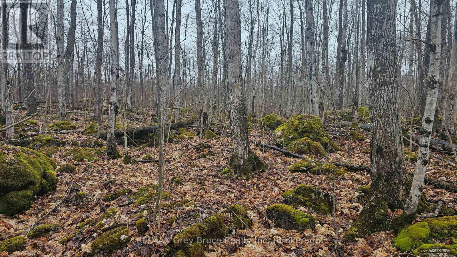 Pt Lt 1 Concession Rd 21 Road, Georgian Bluffs, Ontario  N0H 2T0 - Photo 18 - X12552858