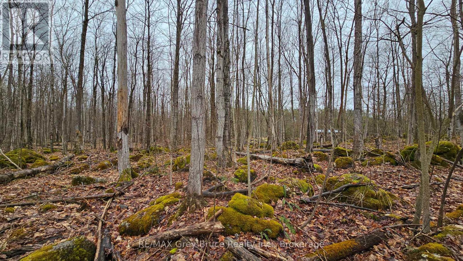 Pt Lt 1 Concession Rd 21 Road, Georgian Bluffs, Ontario  N0H 2T0 - Photo 19 - X12552858