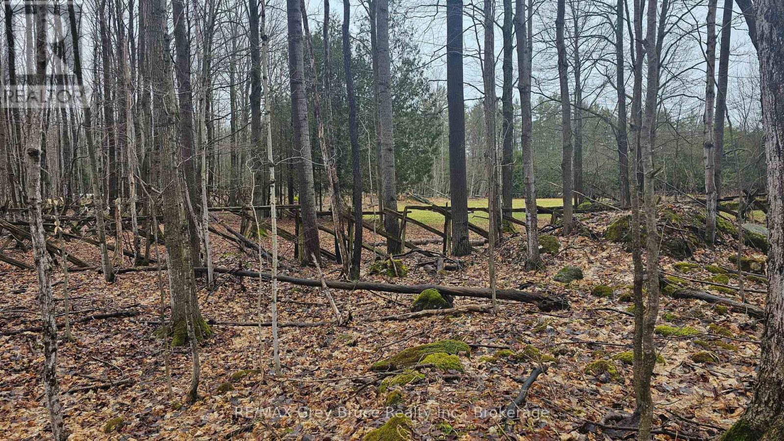 Pt Lt 1 Concession Rd 21 Road, Georgian Bluffs, Ontario  N0H 2T0 - Photo 20 - X12552858