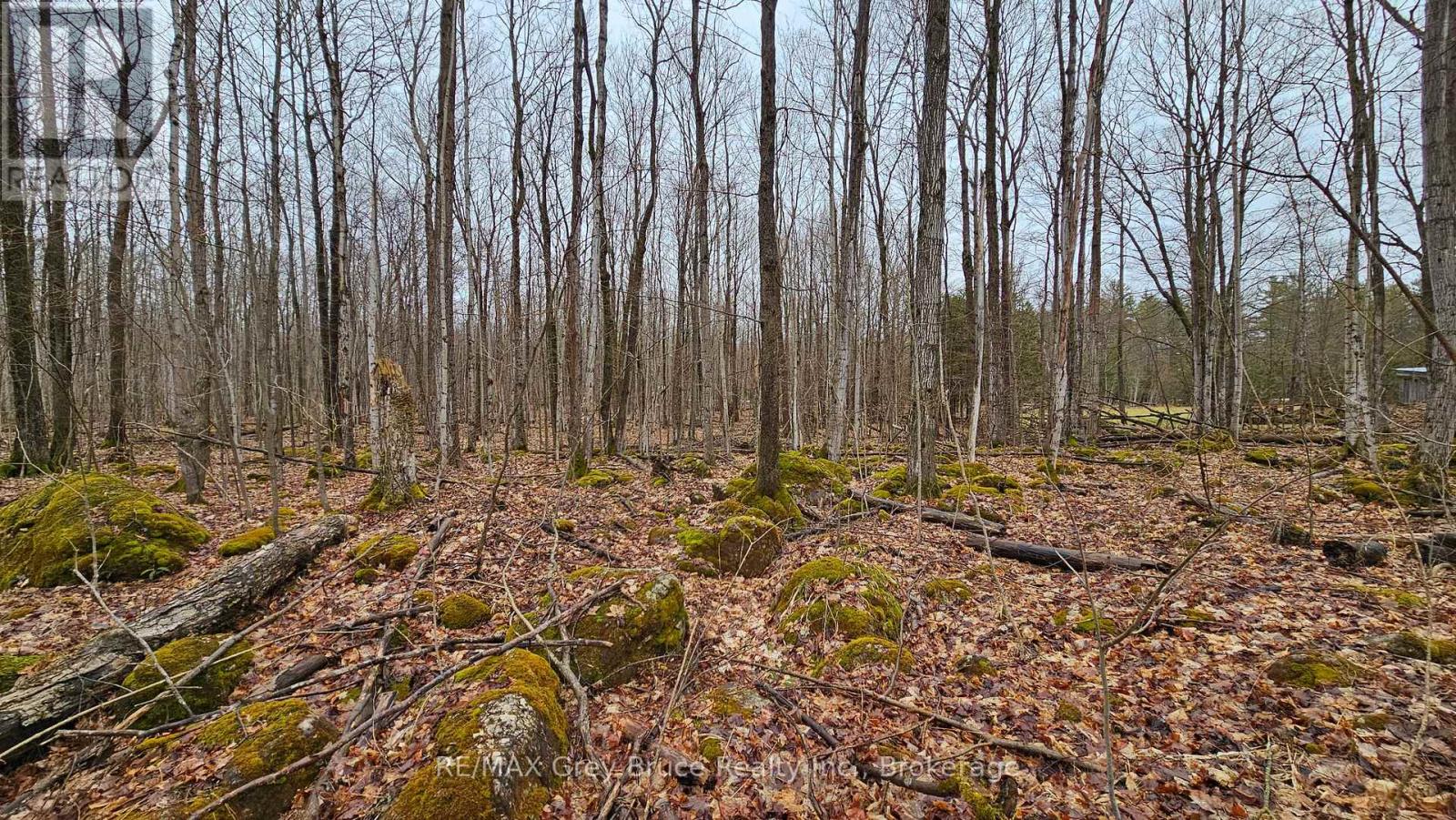 Pt Lt 1 Concession Rd 21 Road, Georgian Bluffs, Ontario  N0H 2T0 - Photo 21 - X12552858