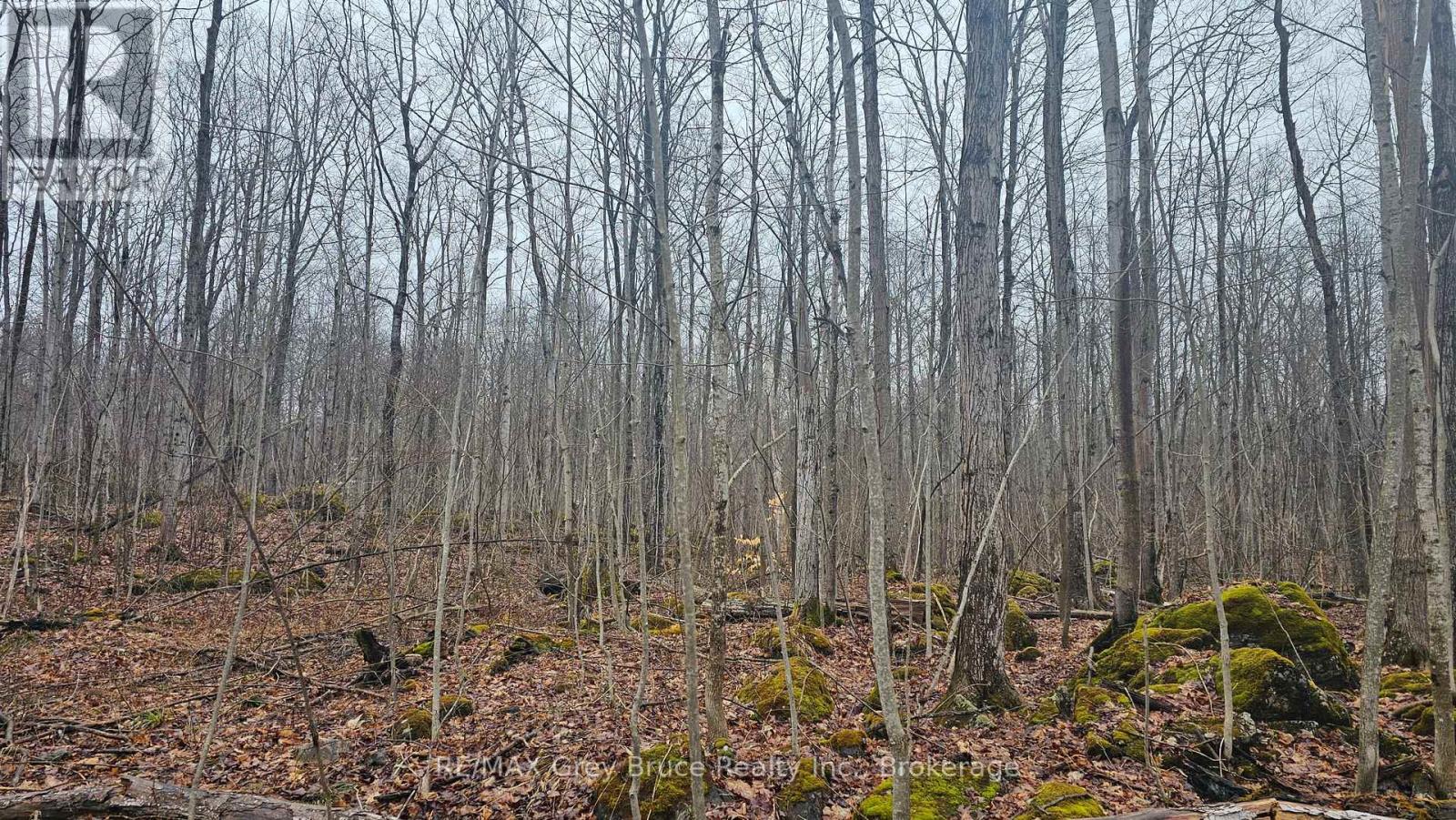 Pt Lt 1 Concession Rd 21 Road, Georgian Bluffs, Ontario  N0H 2T0 - Photo 7 - X12552858