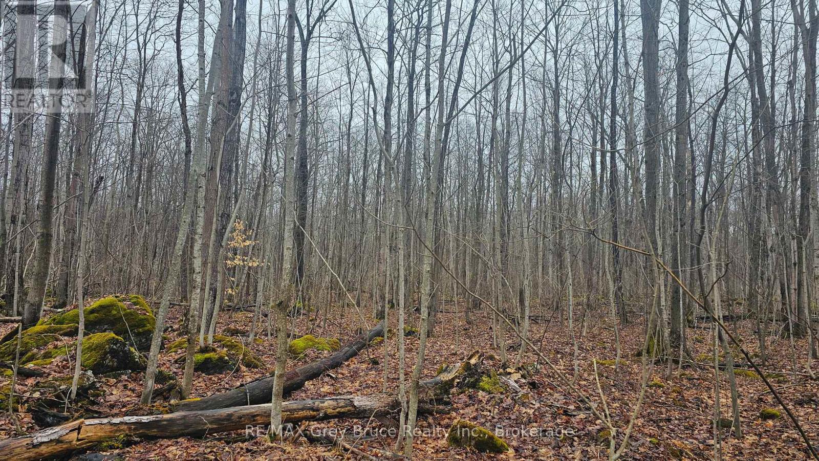 Pt Lt 1 Concession Rd 21 Road, Georgian Bluffs, Ontario  N0H 2T0 - Photo 8 - X12552858