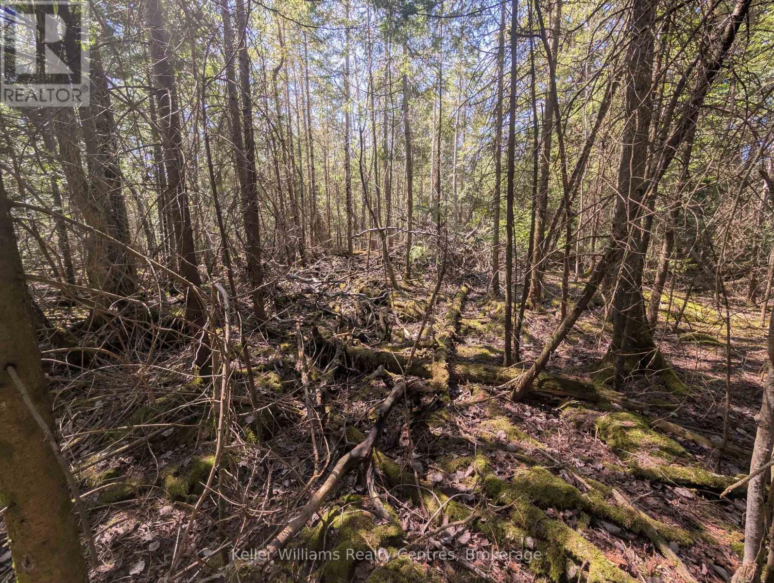 Lot 10 Trillium Crossing, Northern Bruce Peninsula, Ontario  N0H 1W0 - Photo 10 - X12552914