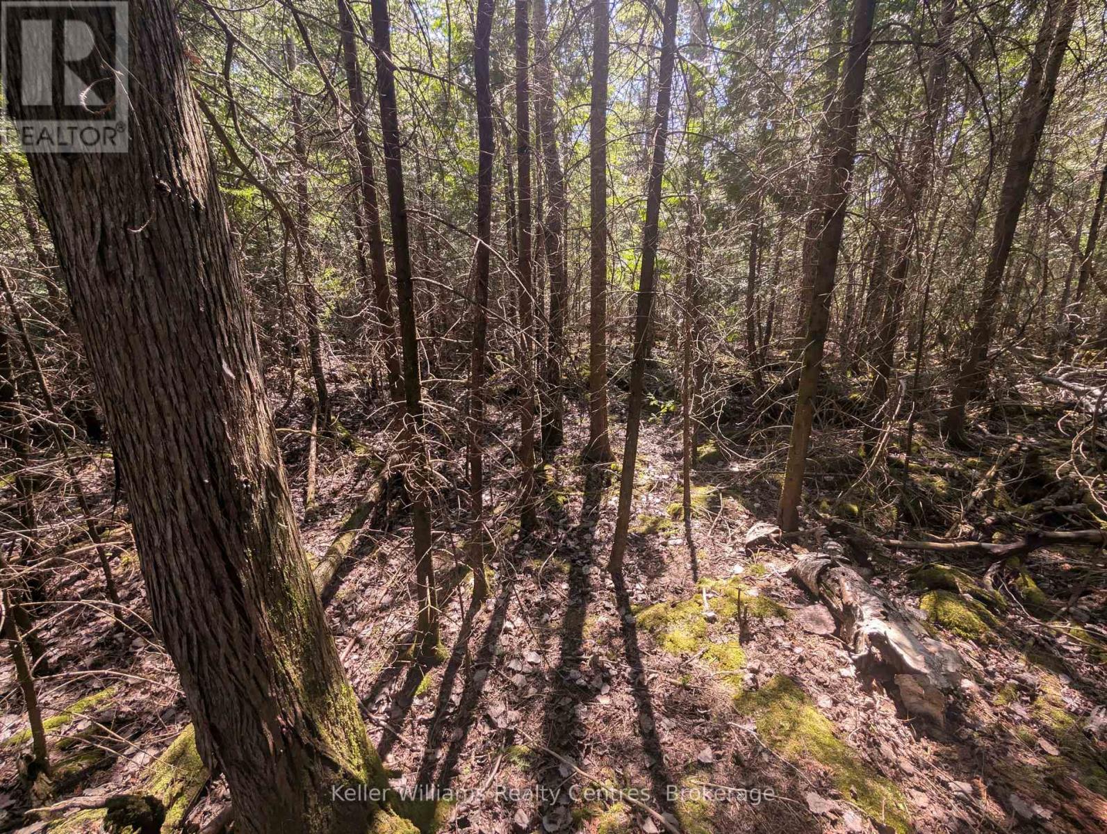 Lot 10 Trillium Crossing, Northern Bruce Peninsula, Ontario  N0H 1W0 - Photo 11 - X12552914