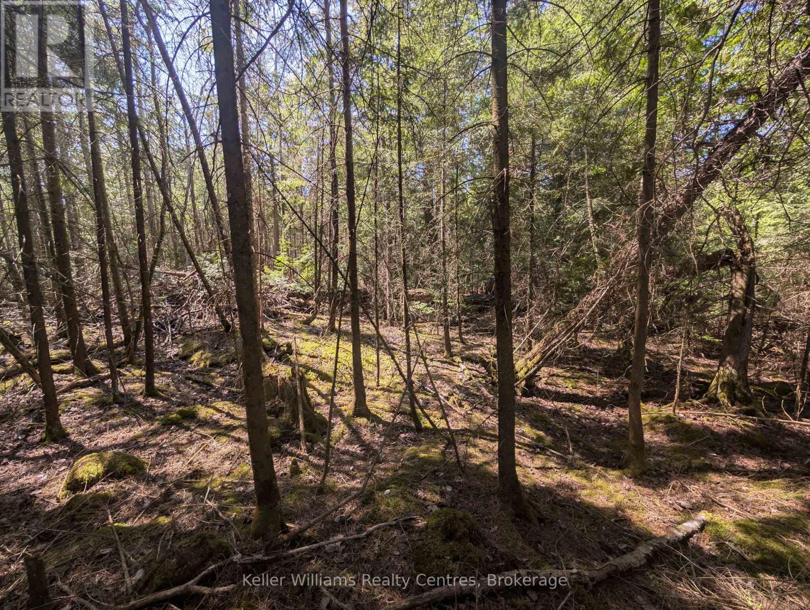 Lot 10 Trillium Crossing, Northern Bruce Peninsula, Ontario  N0H 1W0 - Photo 12 - X12552914