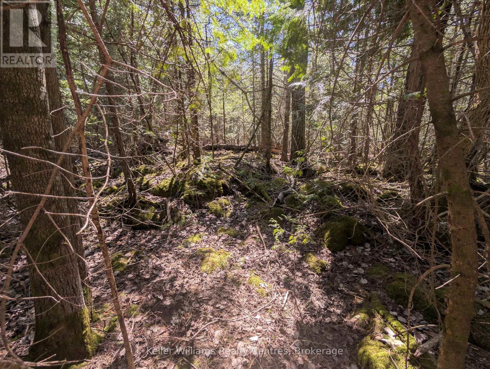 Lot 10 Trillium Crossing, Northern Bruce Peninsula, Ontario  N0H 1W0 - Photo 13 - X12552914