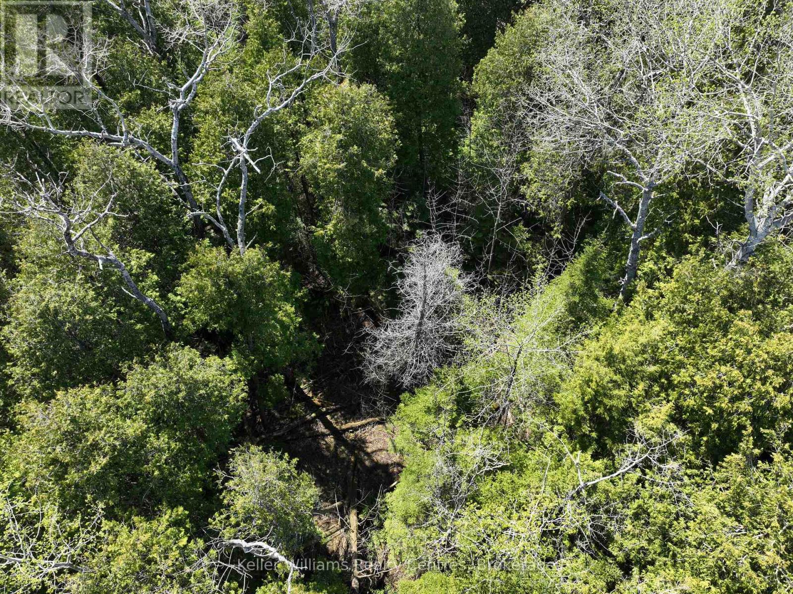 Lot 10 Trillium Crossing, Northern Bruce Peninsula, Ontario  N0H 1W0 - Photo 7 - X12552914