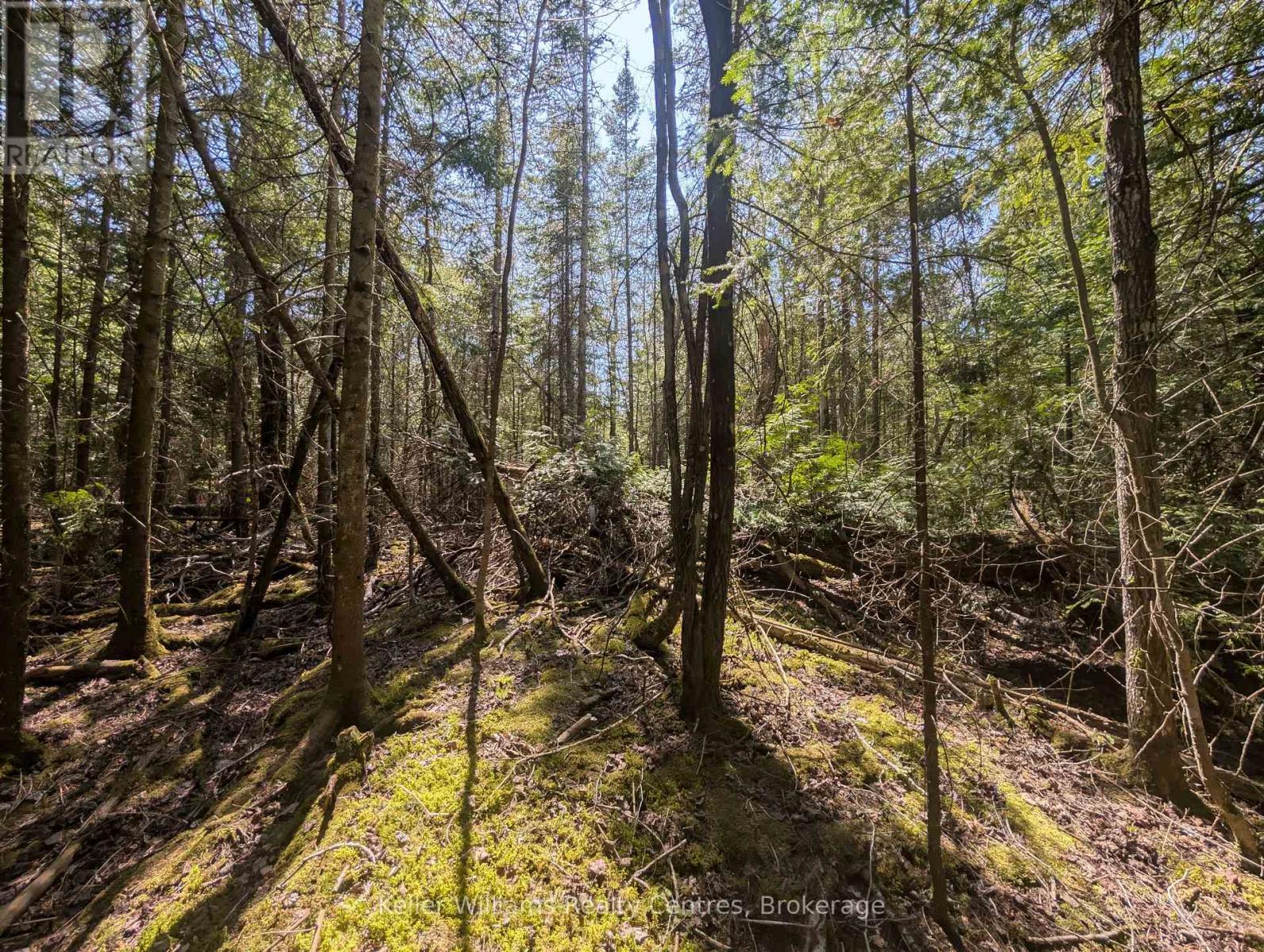 Lot 10 Trillium Crossing, Northern Bruce Peninsula, Ontario  N0H 1W0 - Photo 8 - X12552914