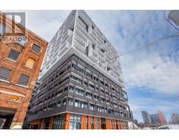 616 - 9 TECUMSETH STREET, Toronto, Ontario