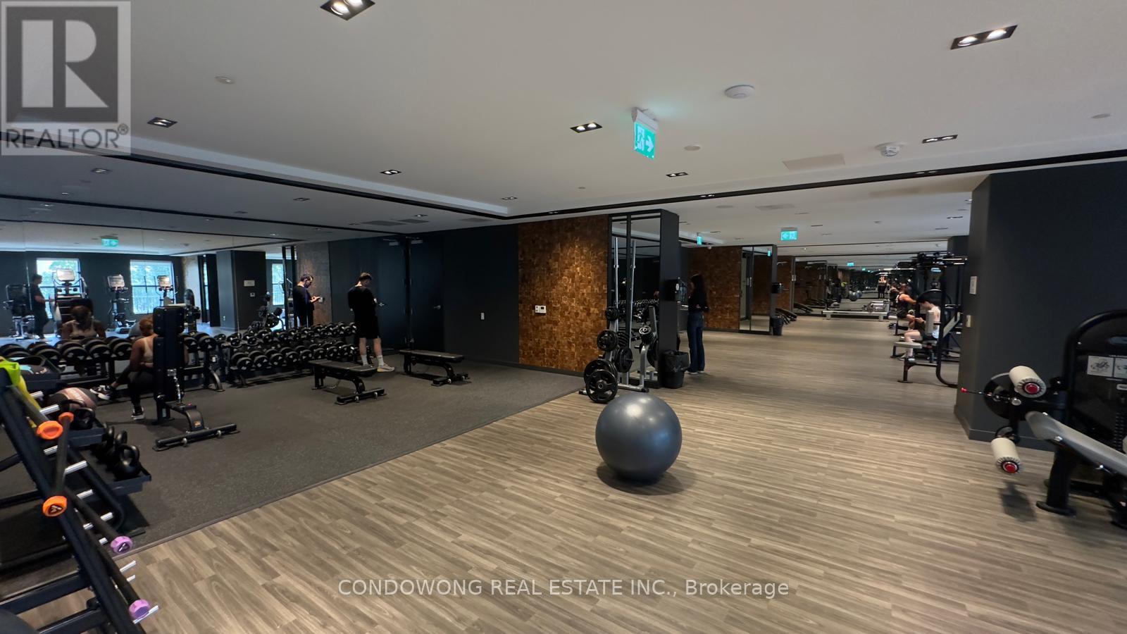 502 - 82 Dalhousie Street, Toronto, Ontario  M5B 0C5 - Photo 17 - C12552962