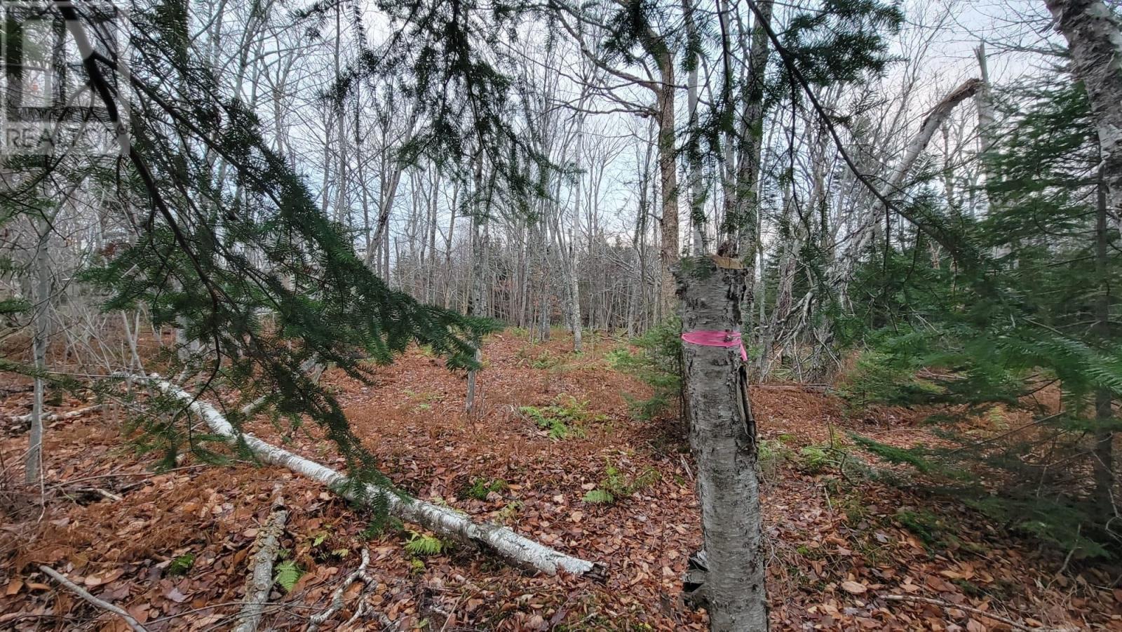 125 Cumberland Line Road, Fairview, Prince Edward Island  C0A 1H2 - Photo 12 - 202525439