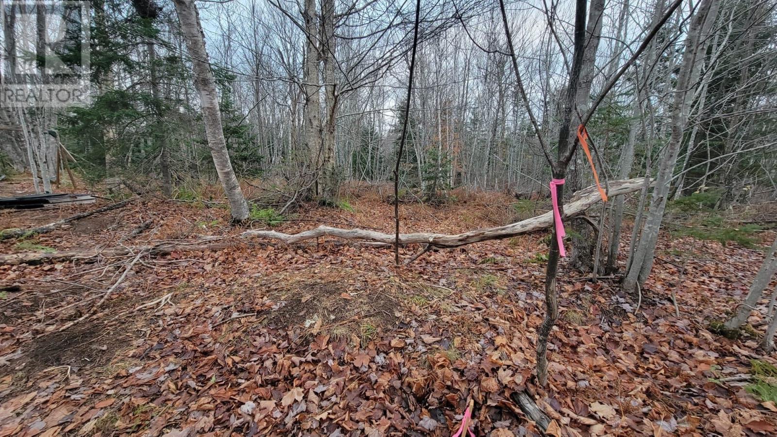 125 Cumberland Line Road, Fairview, Prince Edward Island  C0A 1H2 - Photo 11 - 202525439