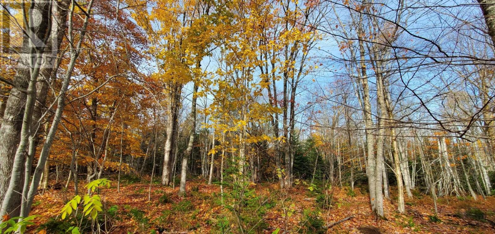 125 Cumberland Line Road, Fairview, Prince Edward Island  C0A 1H2 - Photo 1 - 202525439