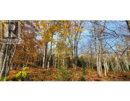 125 Cumberland Line Road