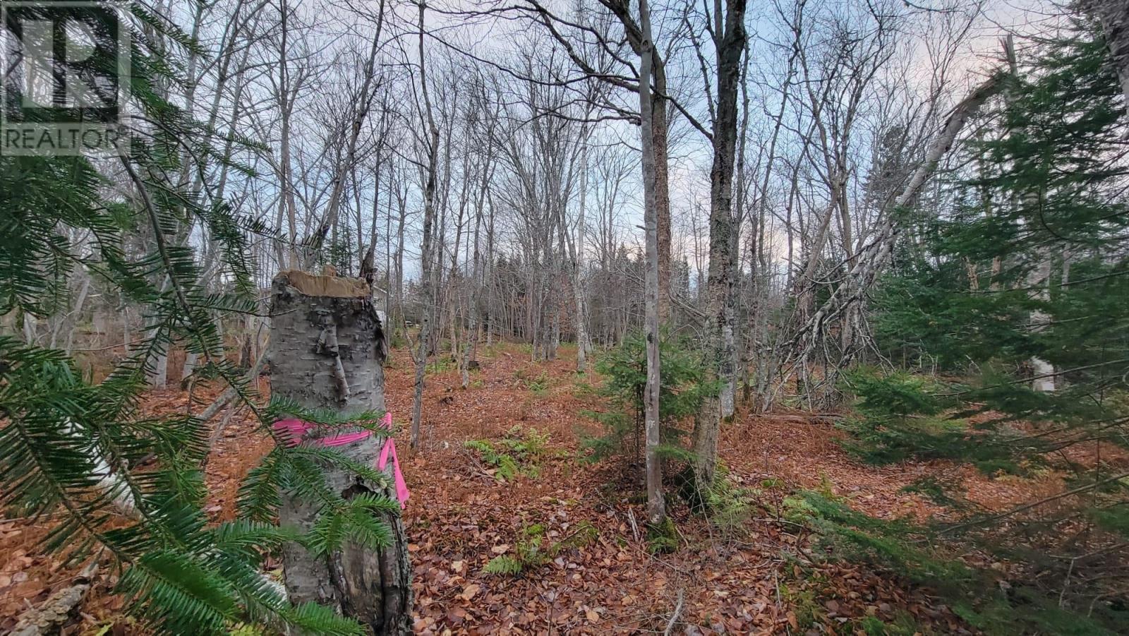 125 Cumberland Line Road, Fairview, Prince Edward Island  C0A 1H2 - Photo 10 - 202525439