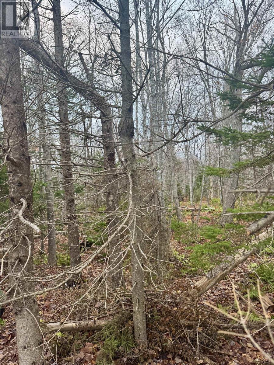 125 Cumberland Line Road, Fairview, Prince Edward Island  C0A 1H2 - Photo 18 - 202525439