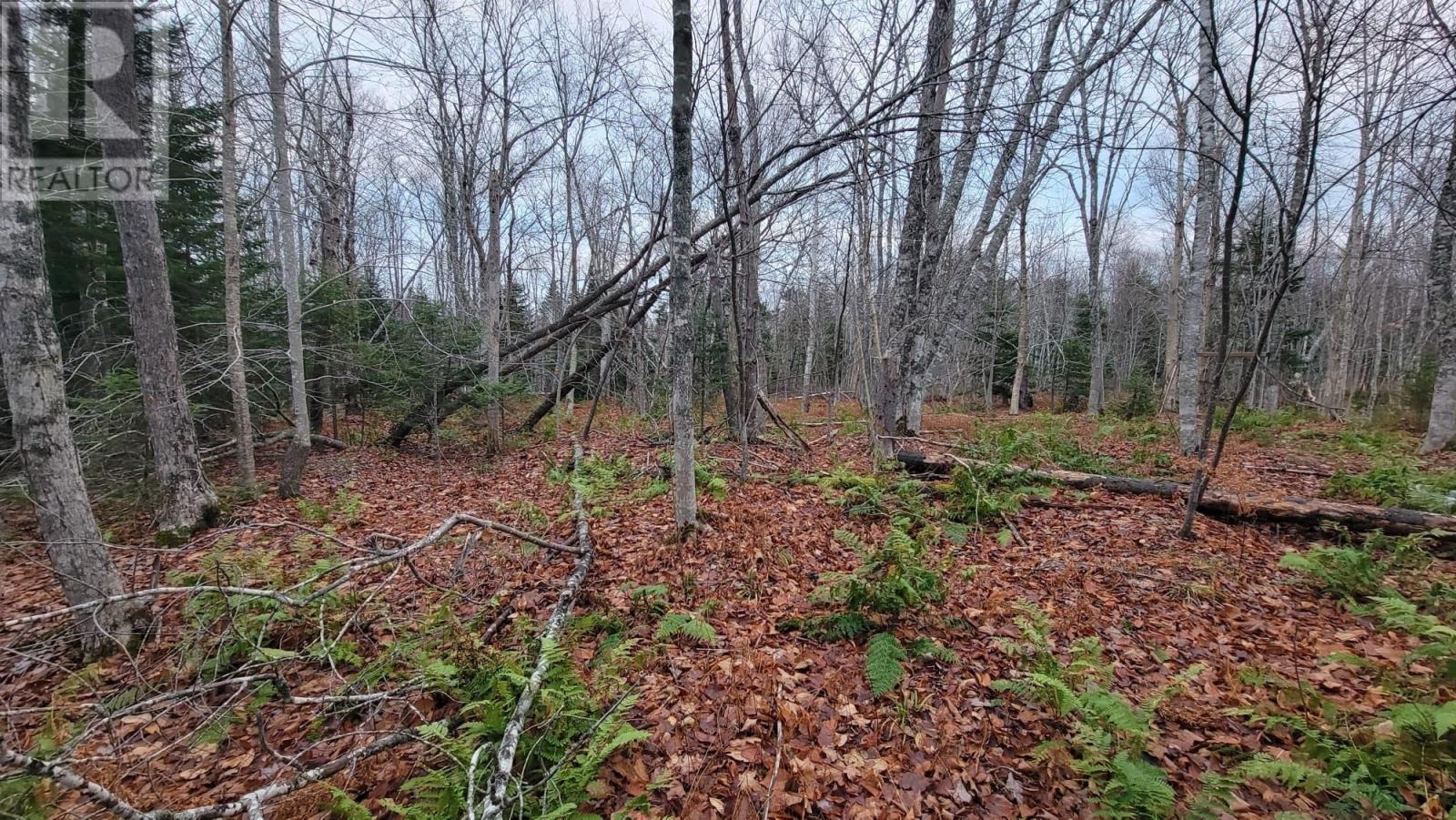 125 Cumberland Line Road, Fairview, Prince Edward Island  C0A 1H2 - Photo 5 - 202525439