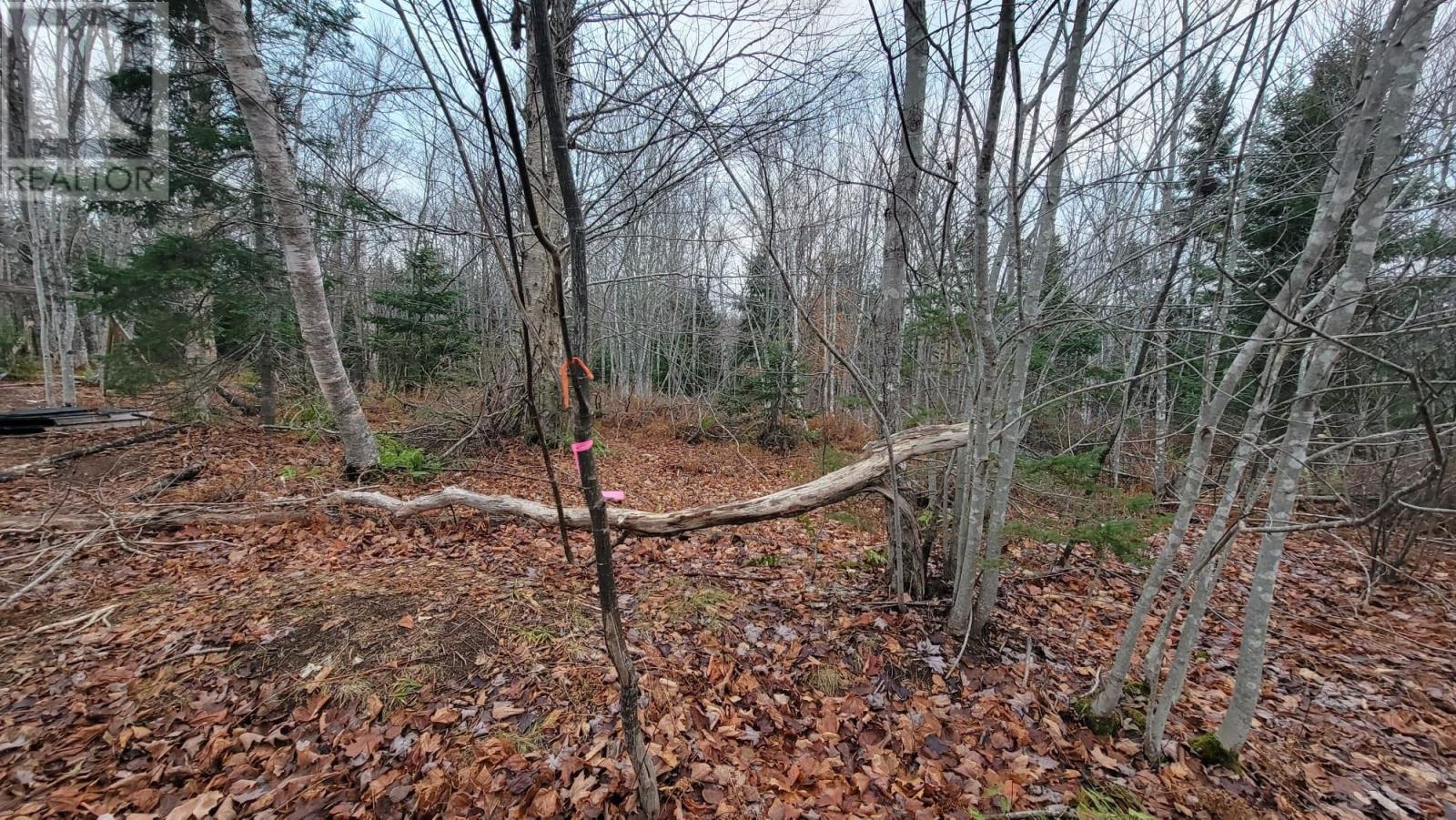 125 Cumberland Line Road, Fairview, Prince Edward Island  C0A 1H2 - Photo 4 - 202525439