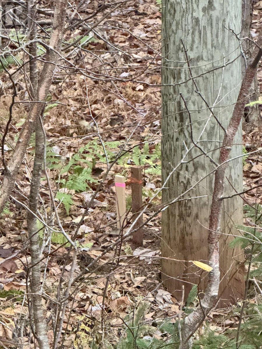 125 Cumberland Line Road, Fairview, Prince Edward Island  C0A 1H2 - Photo 14 - 202525439