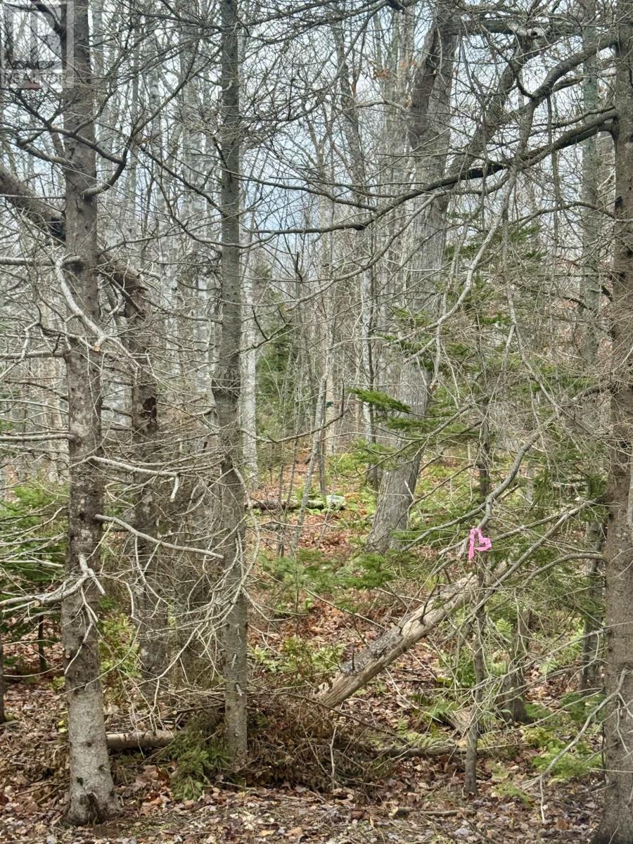 125 Cumberland Line Road, Fairview, Prince Edward Island  C0A 1H2 - Photo 16 - 202525439