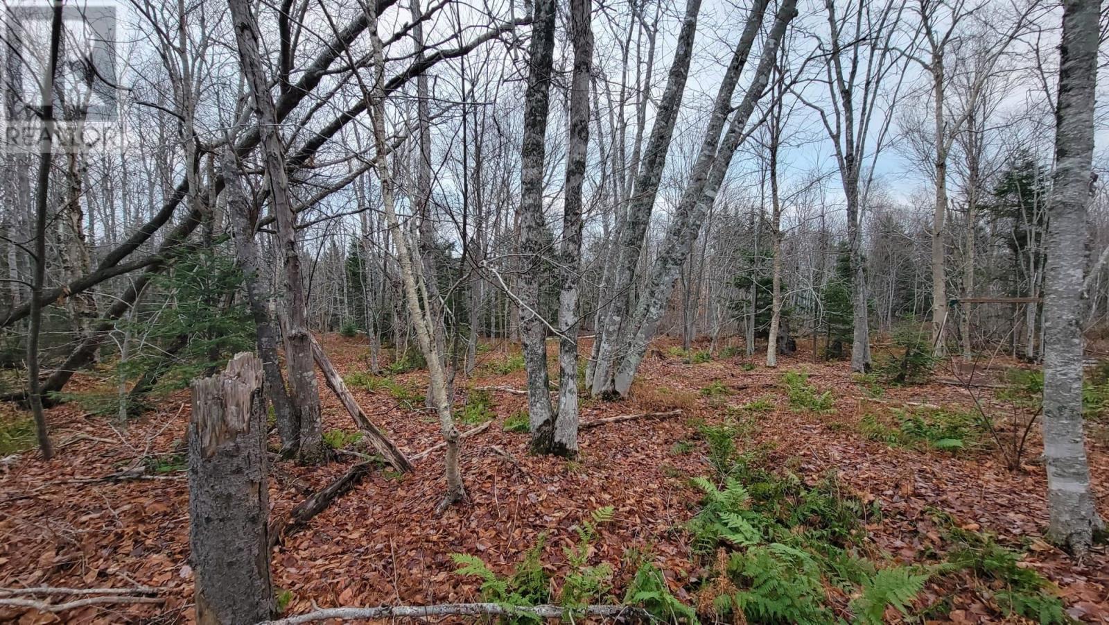 125 Cumberland Line Road, Fairview, Prince Edward Island  C0A 1H2 - Photo 6 - 202525439