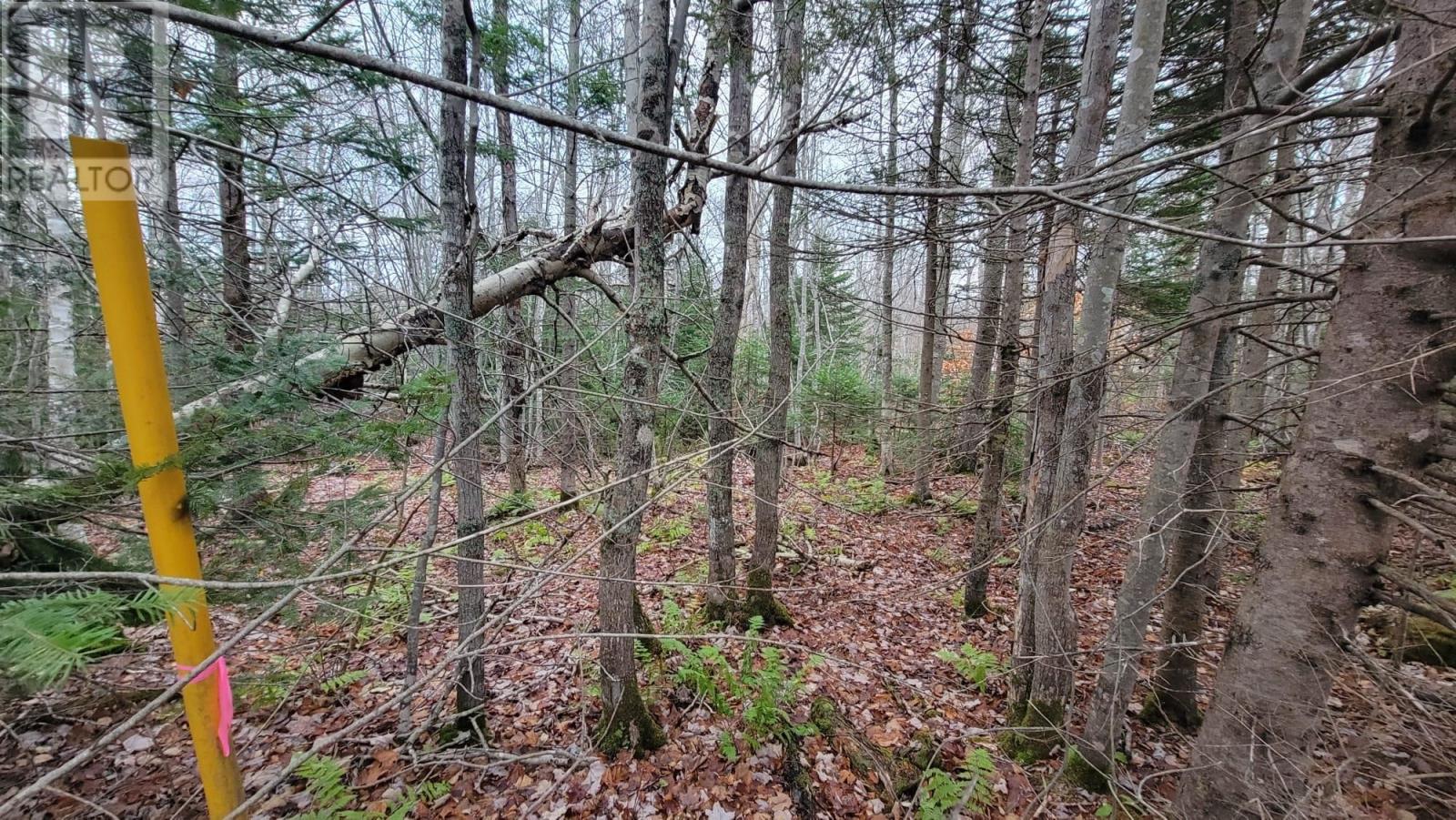 125 Cumberland Line Road, Fairview, Prince Edward Island  C0A 1H2 - Photo 9 - 202525439