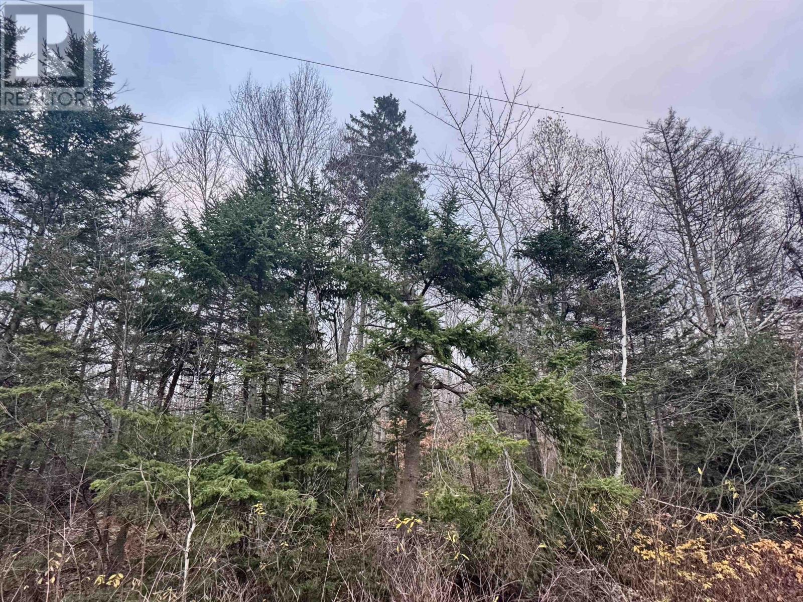 125 Cumberland Line Road, Fairview, Prince Edward Island  C0A 1H2 - Photo 7 - 202525439