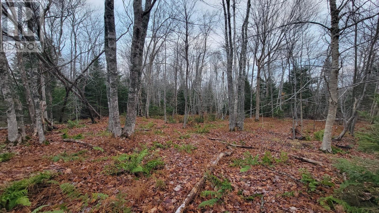 125 Cumberland Line Road, Fairview, Prince Edward Island  C0A 1H2 - Photo 8 - 202525439