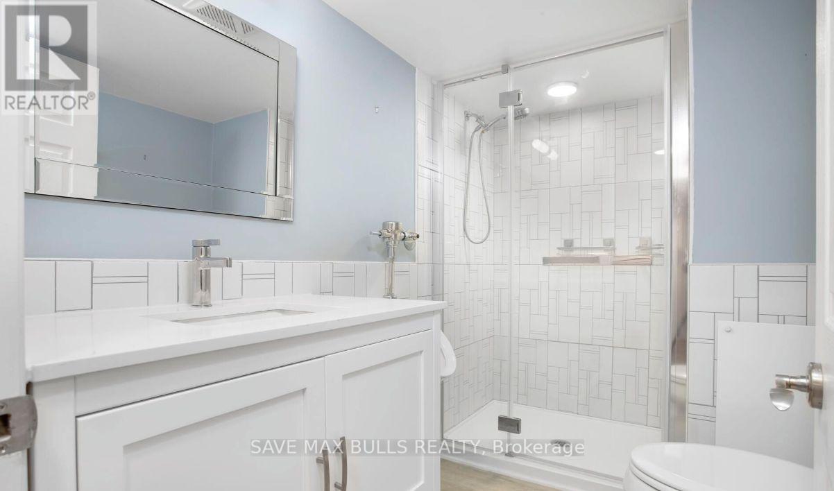 Basement - 768 Olive Avenue, Oshawa, Ontario  L1H 2S3 - Photo 10 - E12552982