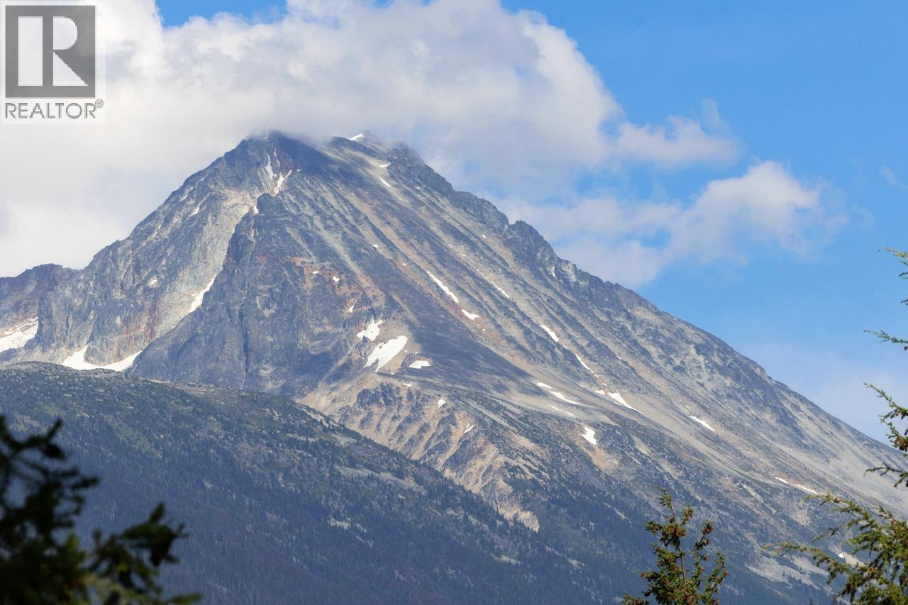 8328 Needles Drive, Whistler, British Columbia  V8E 0G1 - Photo 32 - R3065597
