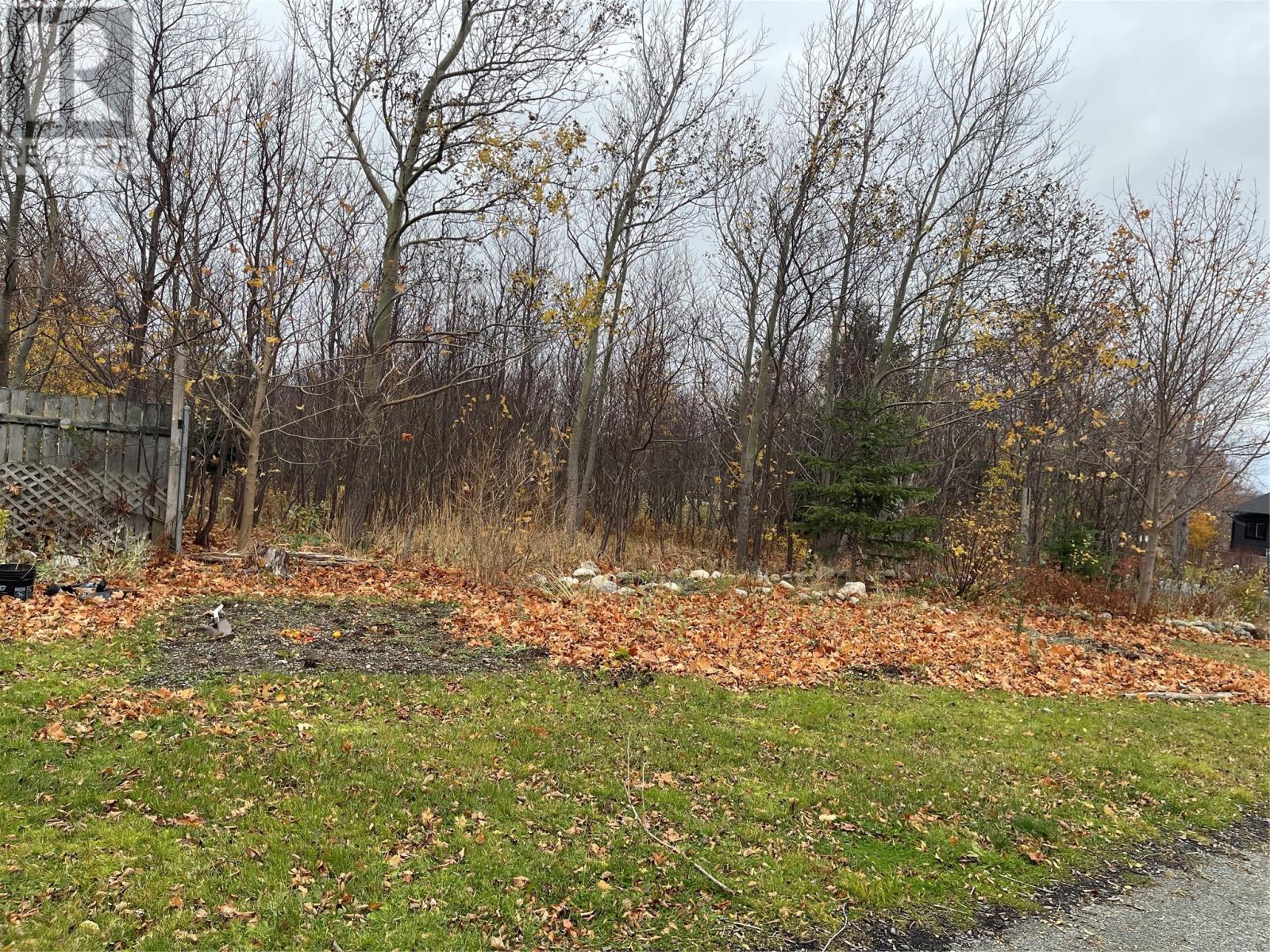 16 Forest Road, Conception Bay South, Newfoundland & Labrador  A1X 6J6 - Photo 10 - 1292527