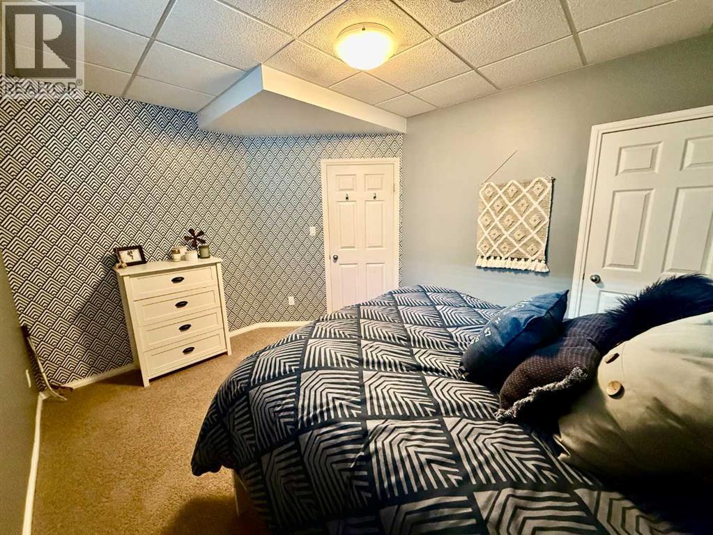 5506 43a Street, Provost, Alberta  T0B 3S0 - Photo 33 - A2262605