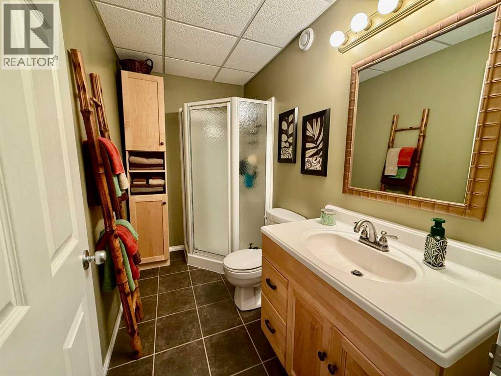 5506 43a Street, Provost, Alberta  T0B 3S0 - Photo 34 - A2262605