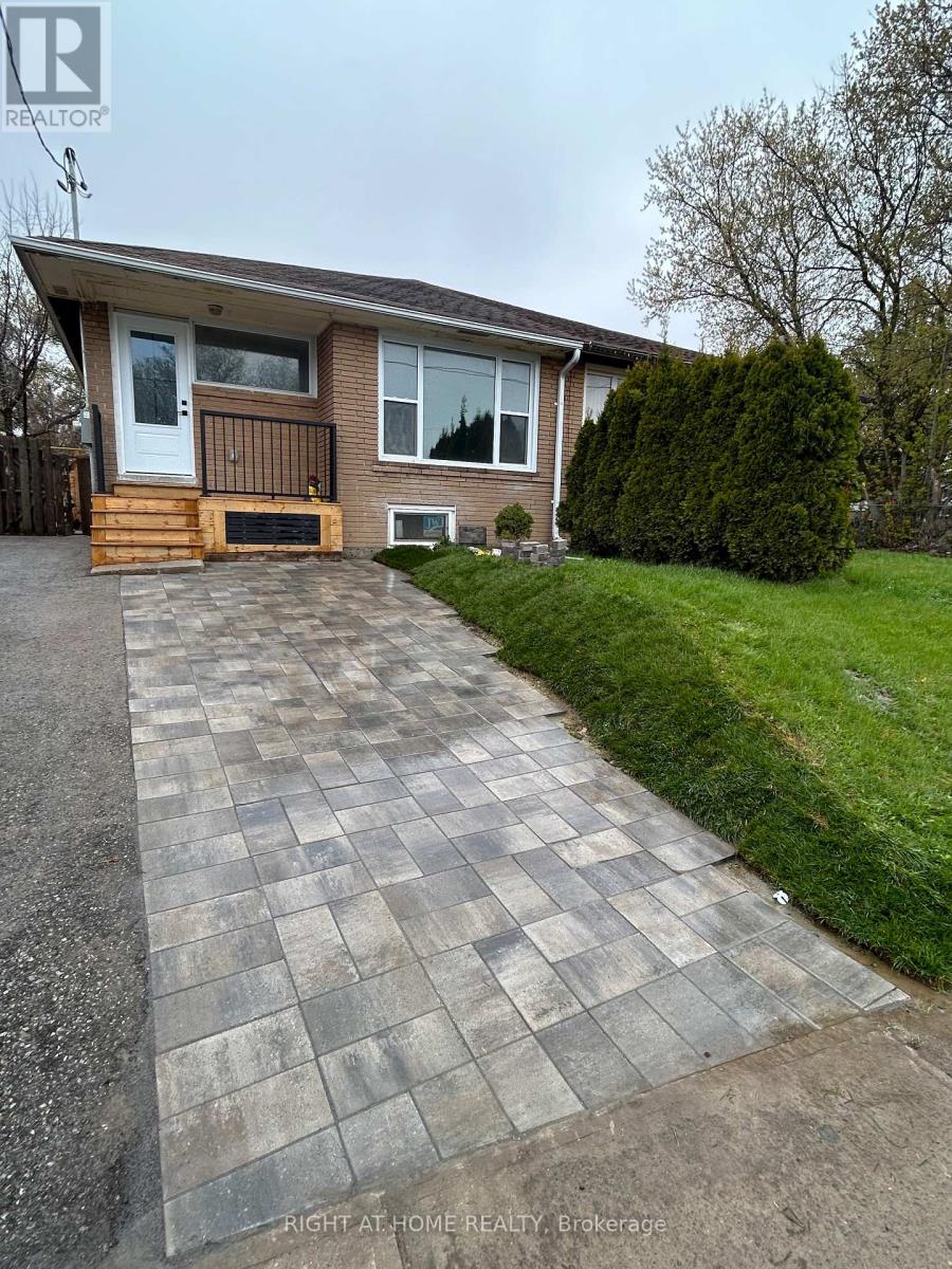 MAIN - 87 WALTER AVENUE, Newmarket, Ontario