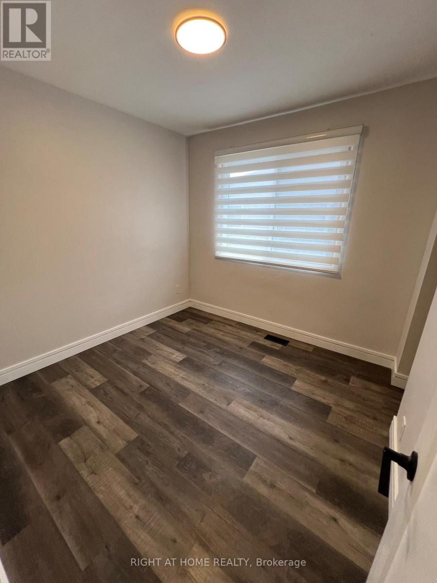 Main - 87 Walter Avenue, Newmarket, Ontario  L3X 3B2 - Photo 10 - N12553478