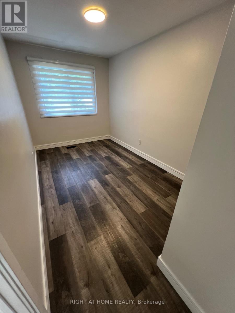 Main - 87 Walter Avenue, Newmarket, Ontario  L3X 3B2 - Photo 11 - N12553478