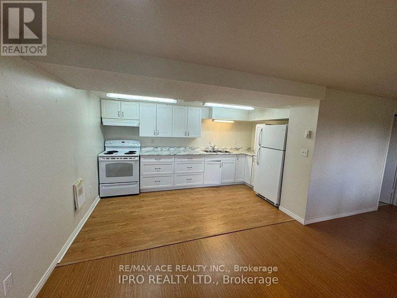 Walkout Basement - 20 Hawthorne Road, Mono, Ontario  L9W 6G7 - Photo 5 - X12553418