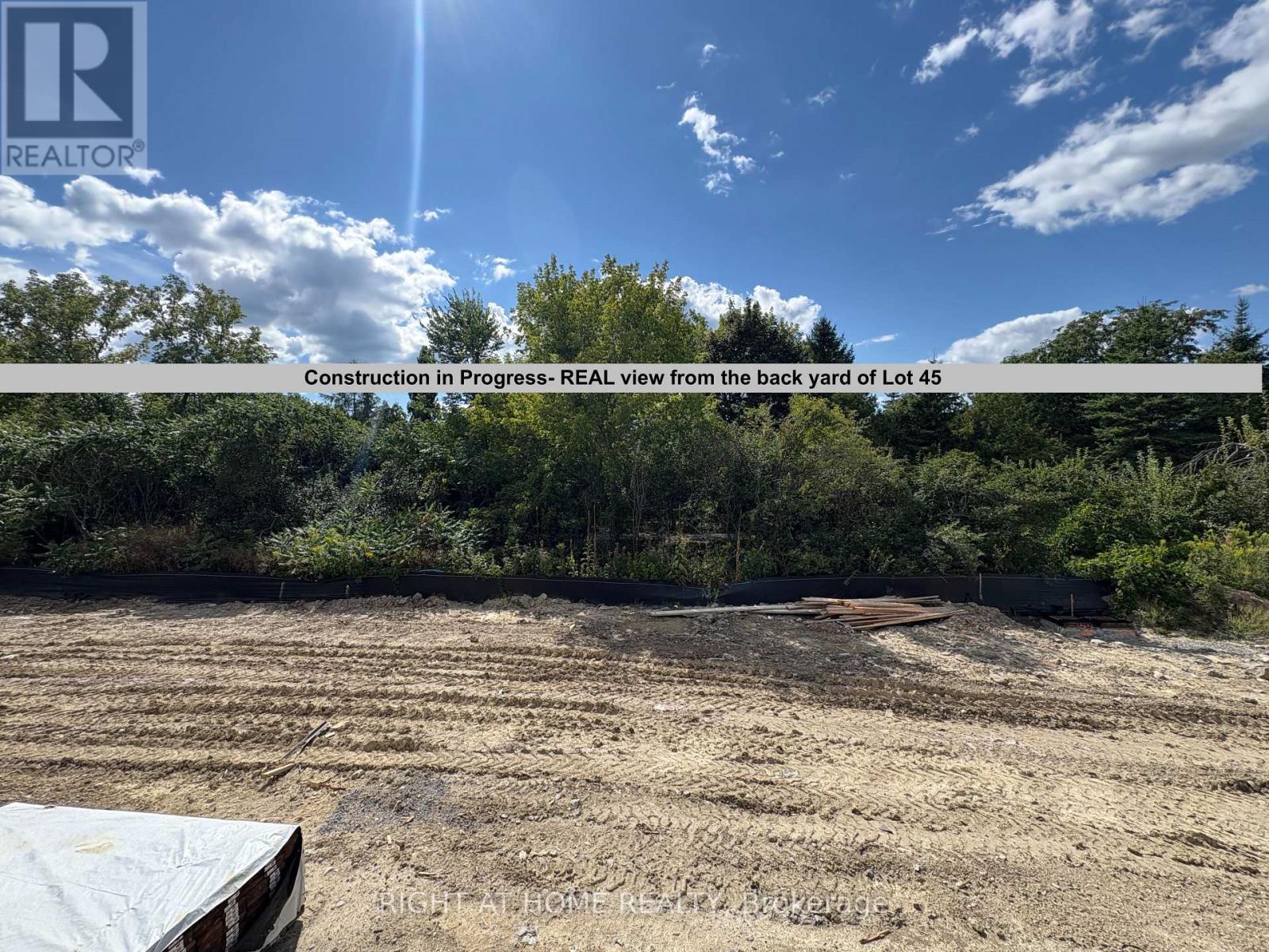 79 Watts Drive, Kawartha Lakes, Ontario  K9V 5V4 - Photo 10 - X12553440