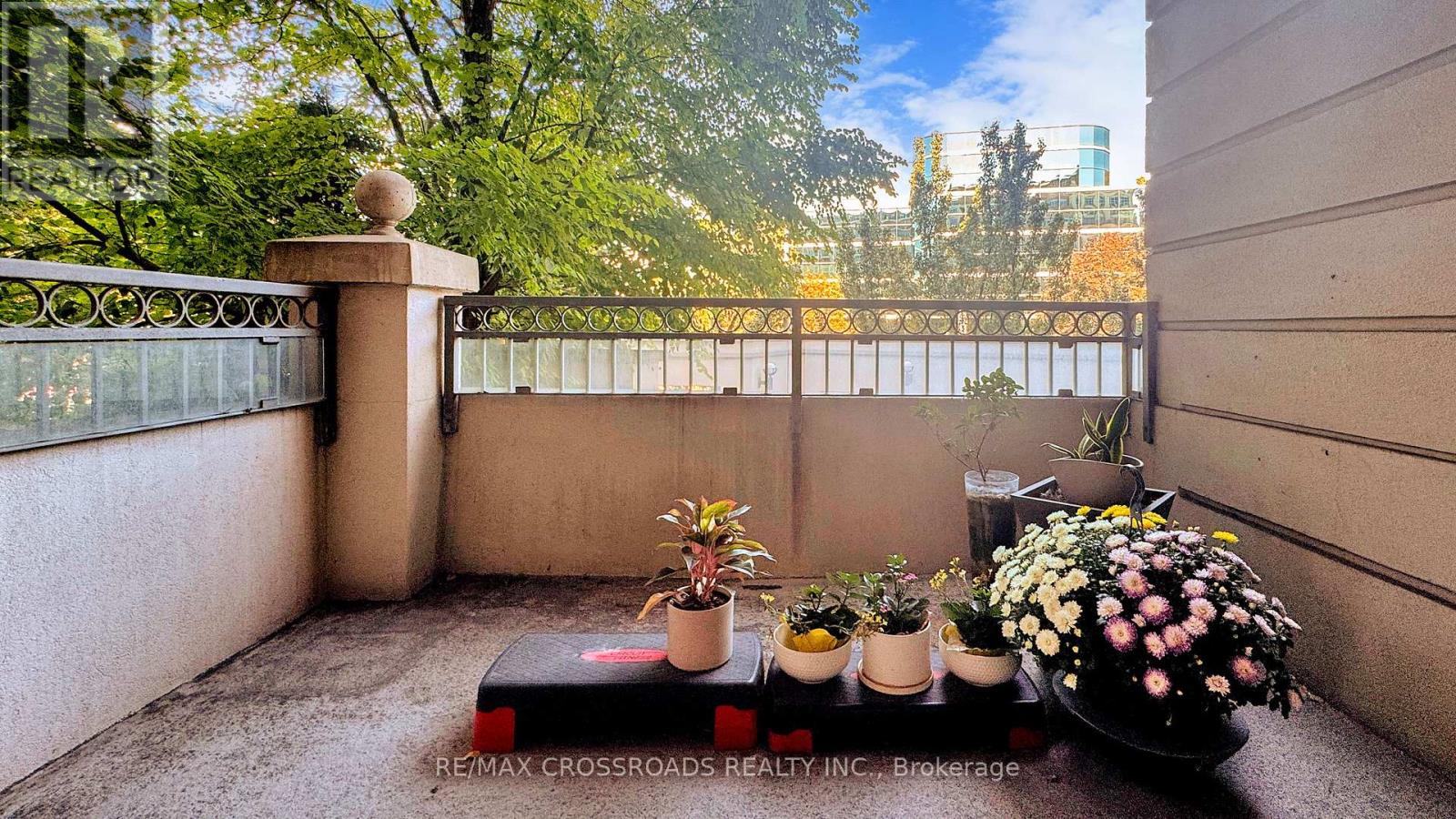 210 - 10 Old York Mills Road, Toronto, Ontario M2P 2G9 - Photo 22 - C12553710