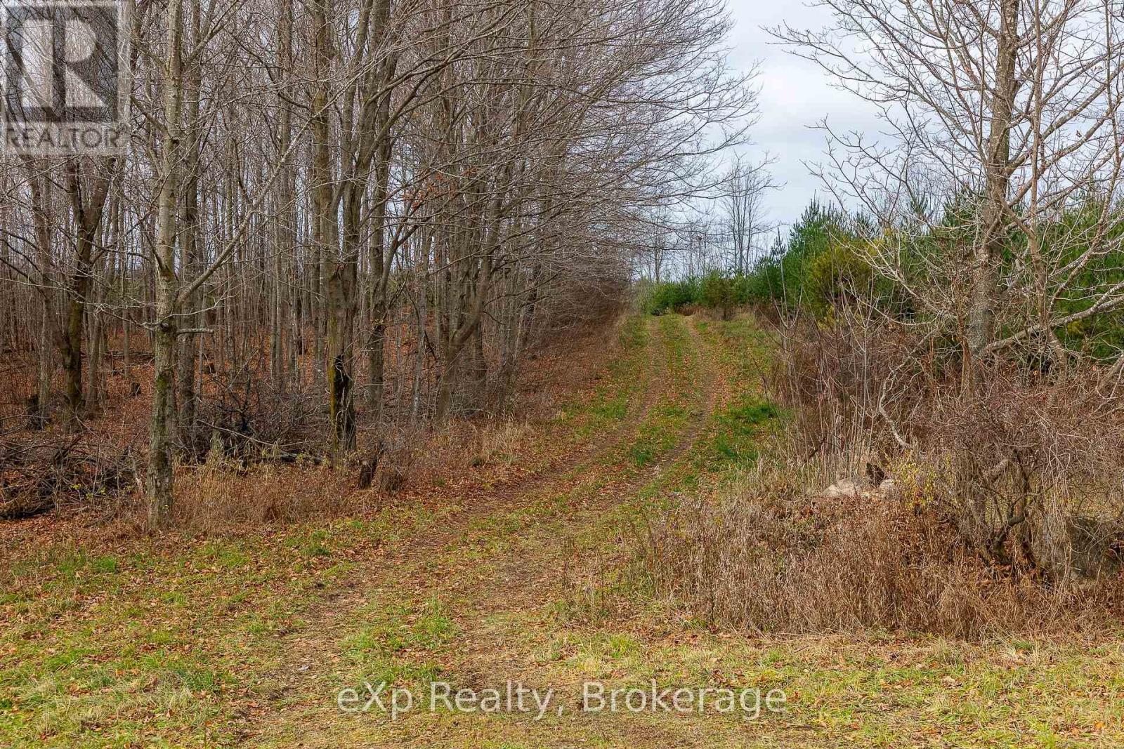 83 C Line Road, South Bruce Peninsula, Ontario  N0H 1A0 - Photo 11 - X12553766