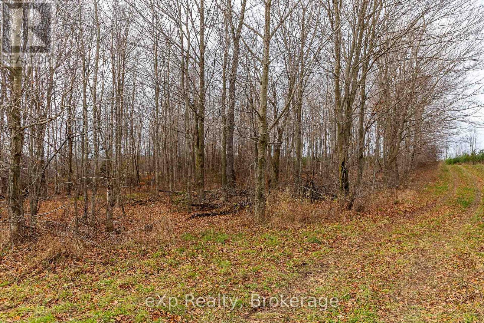 83 C Line Road, South Bruce Peninsula, Ontario  N0H 1A0 - Photo 12 - X12553766