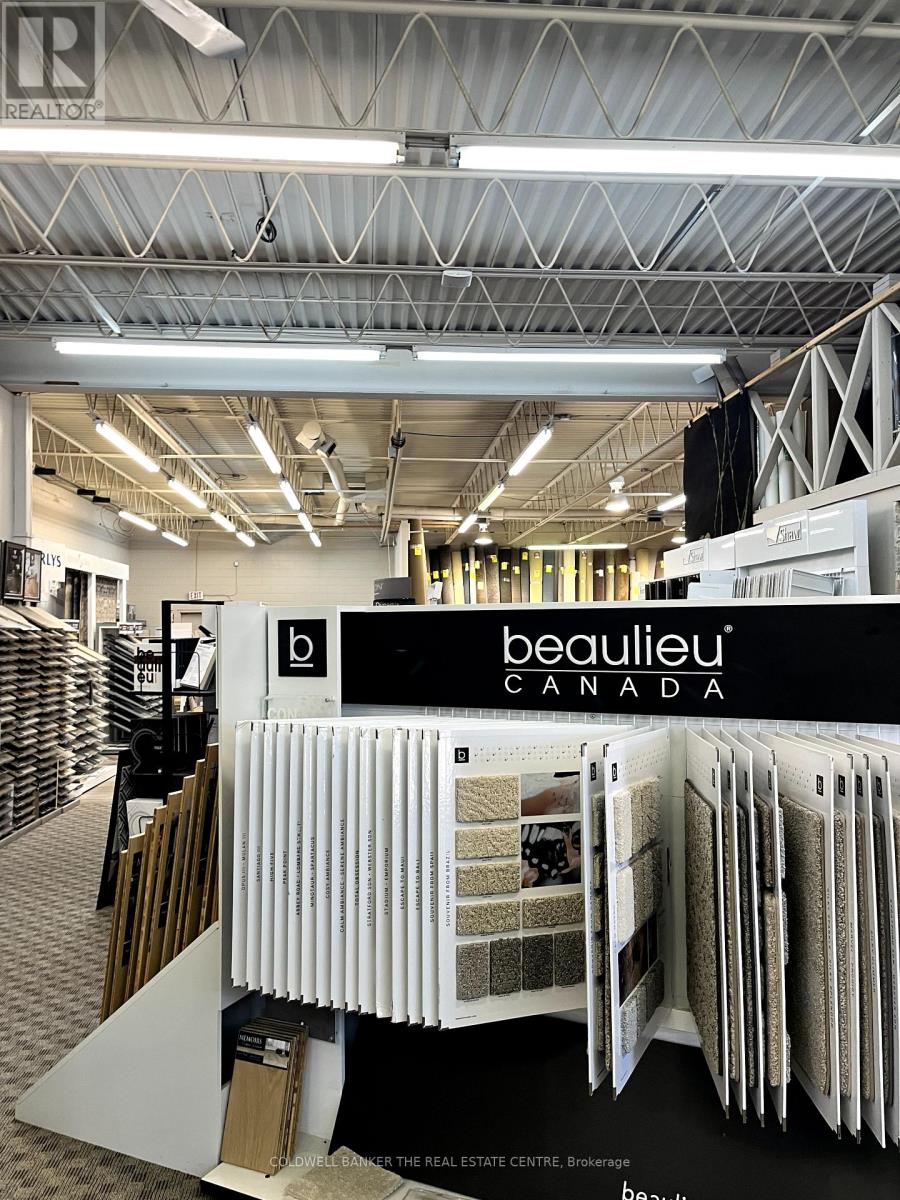 469 Kingston Road, Pickering, Ontario  L1V 1A5 - Photo 6 - E12358424