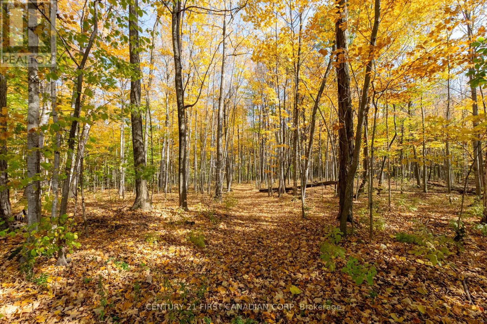 10771 Melrose Drive, Middlesex Centre, Ontario  N0L 1R0 - Photo 5 - X12553786